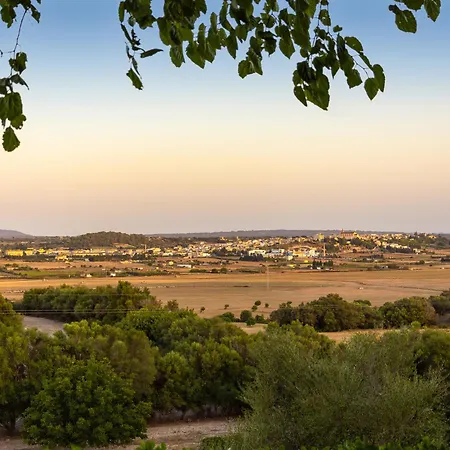 Farm stay Son Flor Santa Margalida